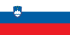 Flag of Slovenia.svg